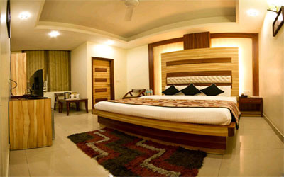 Deluxe AC Room, HOTEL ASTER INN - Budget Hotels in New Delhi